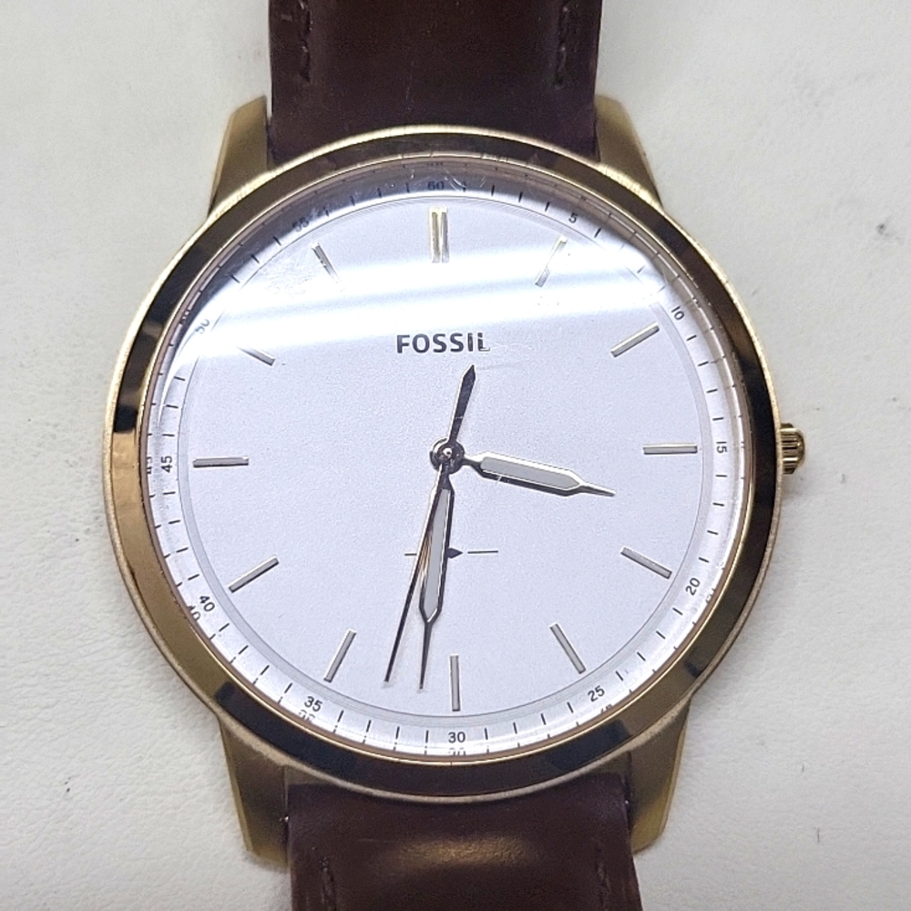 Watch big tic fossil